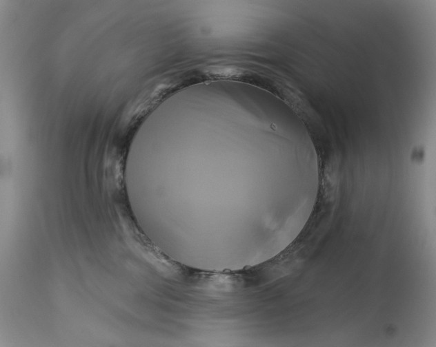 X0000115330330200911161815