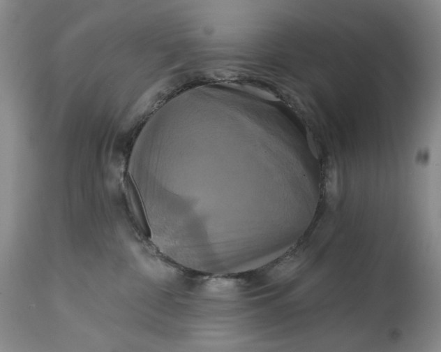 X0000115330332200911161815