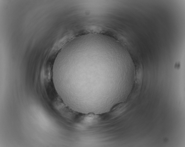 X0000115330334200911161815