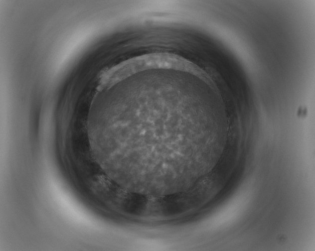 X0000115330335200911161815