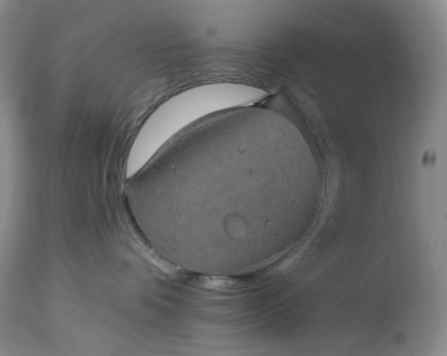 X0000115330336200911161815