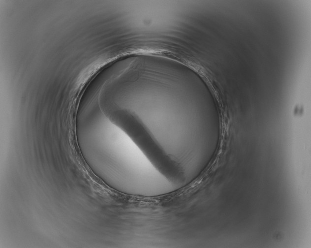 X0000115330337200911161814