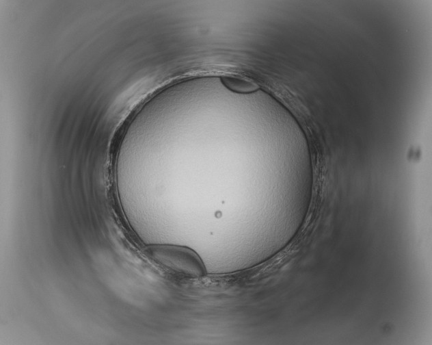 X0000115330338200911161814