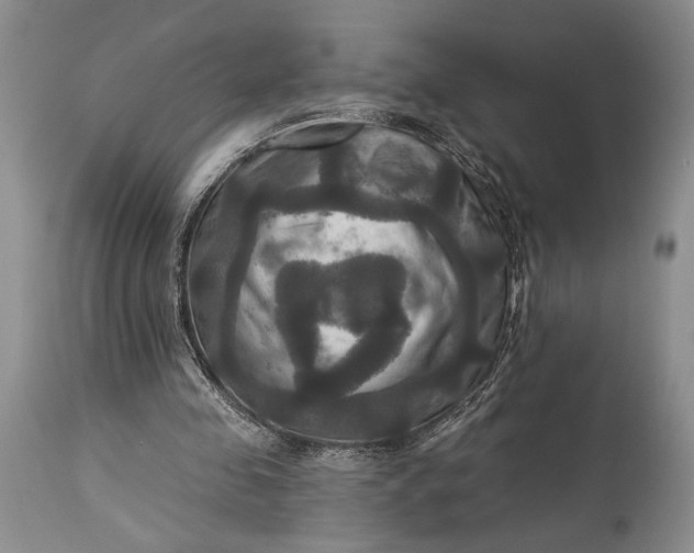 X0000115330341200911161814