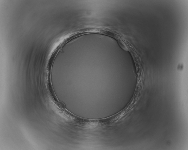 X0000115330342200911161814