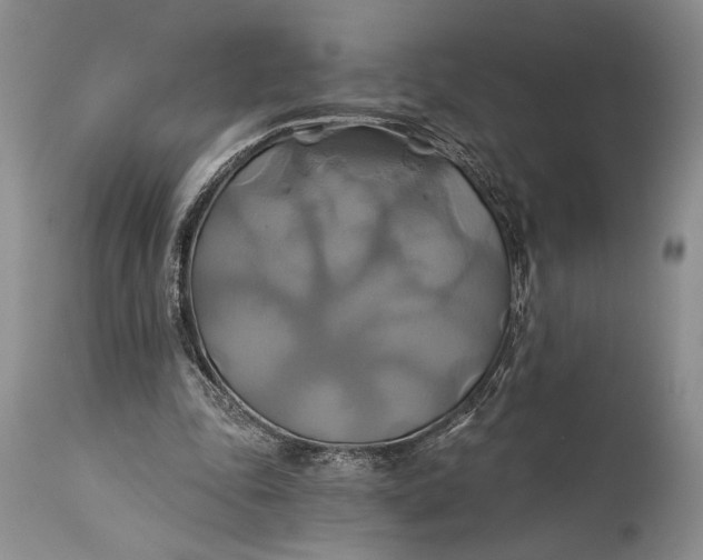 X0000115330343200911161814