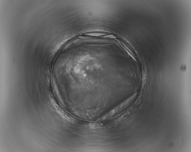 X0000115330345200911161814