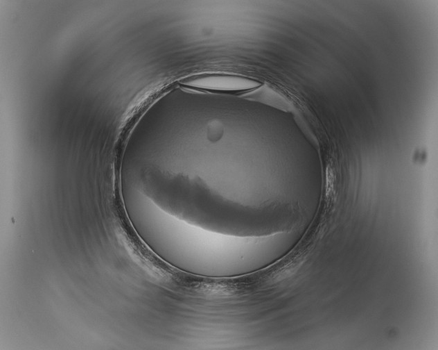 X0000115330349200911161814