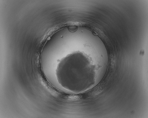 X0000115330357200911161814