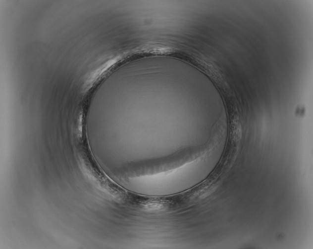 X0000115330358200911161814