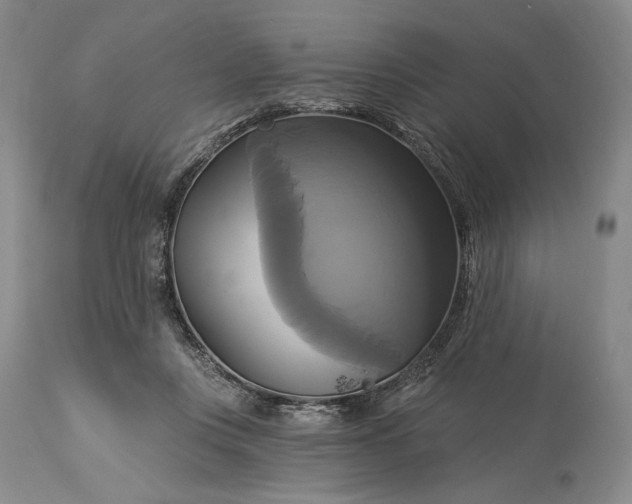 X0000115330359200911161814