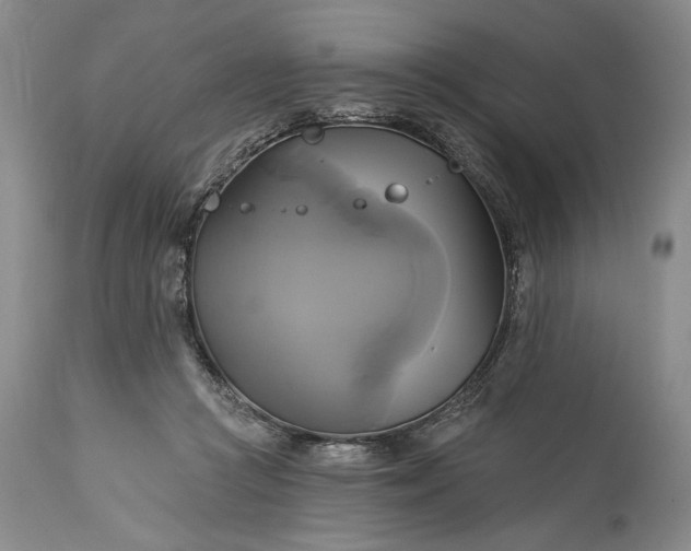 X0000115330361200911161814