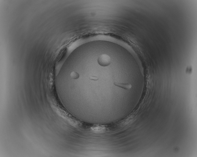 X0000115330362200911161814