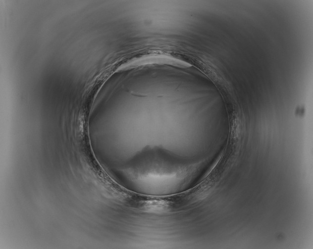 X0000115330363200911161814