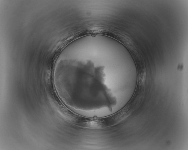 X0000115330365200911161814