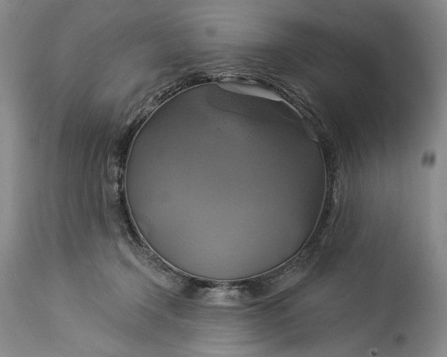 X0000115330366200911161814