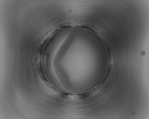 X0000115330367200911161814