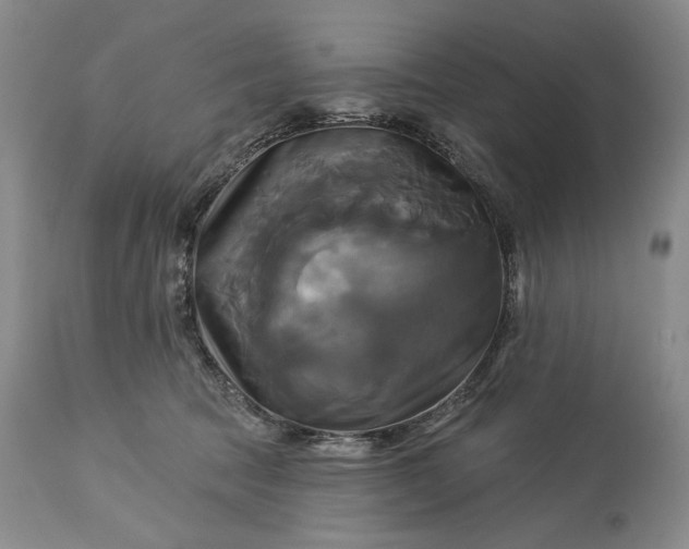 X0000115330369200911161814