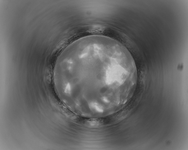 X0000115330370200911161814