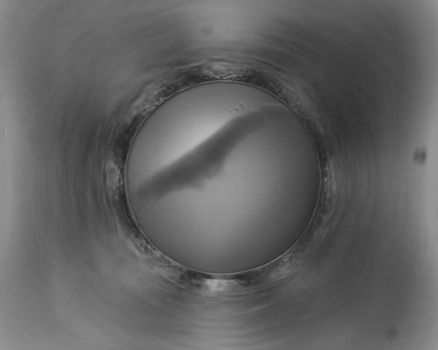 X0000115330371200911161814