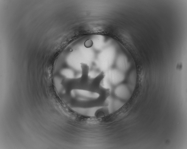 X0000115330373200911161814