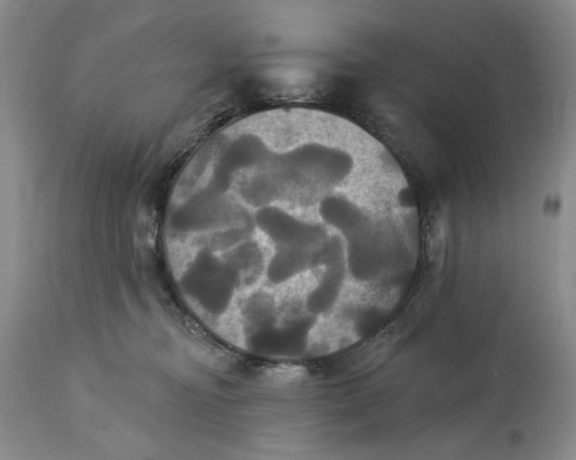 X0000115330374200911161814