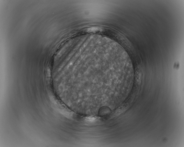 X0000115330375200911161814