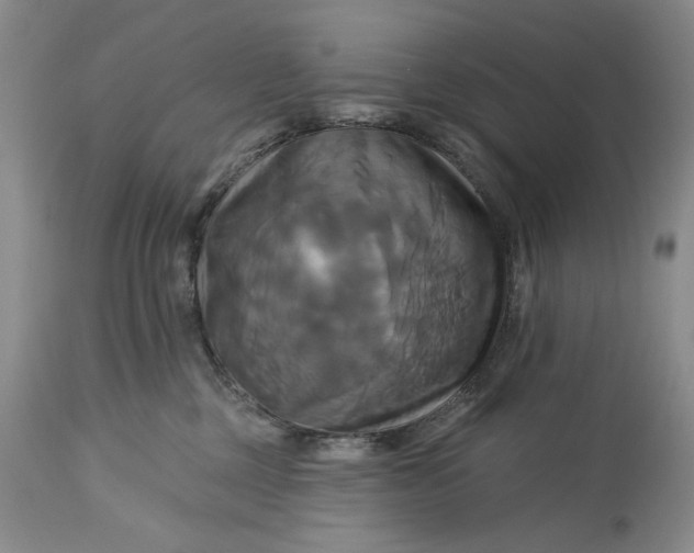 X0000115330377200911161815