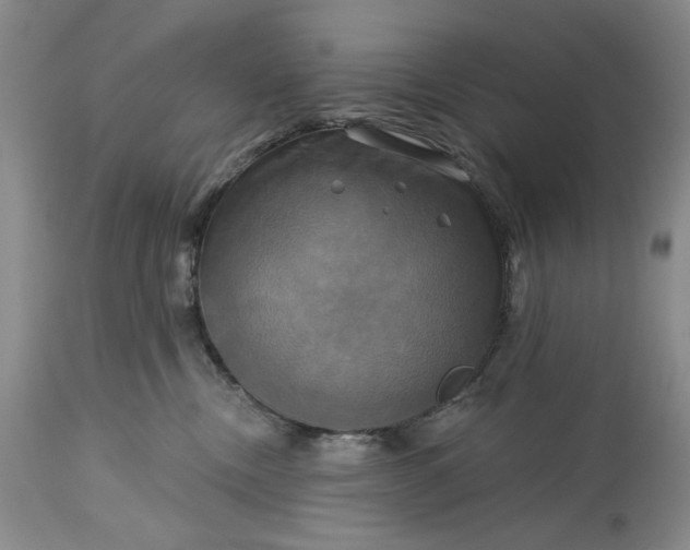 X0000115330378200911161815