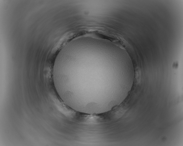 X0000115330379200911161815