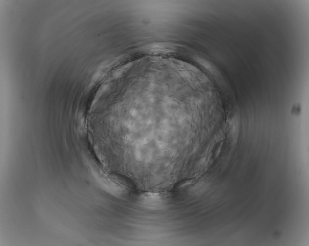 X0000115330381200911161815