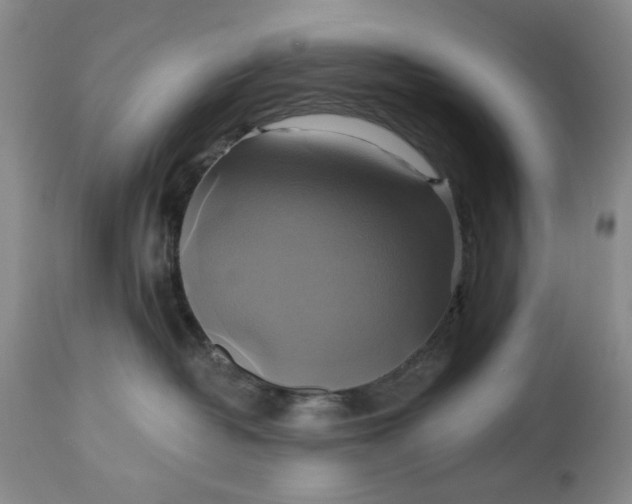 X0000115330382200911161815