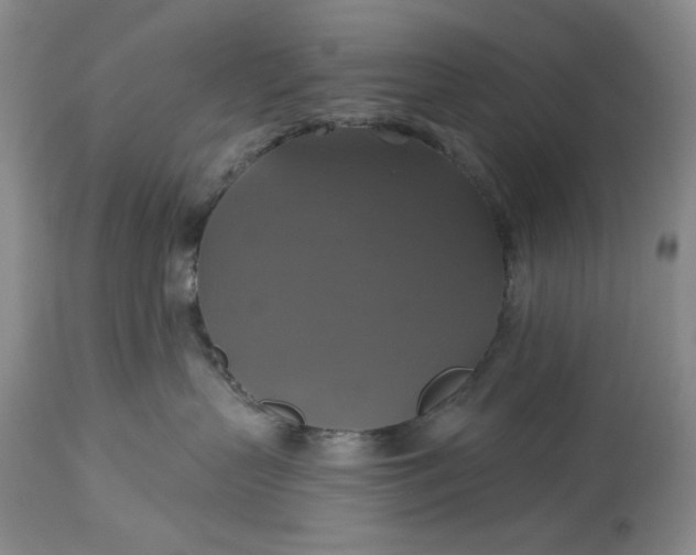 X0000115330383200911161815