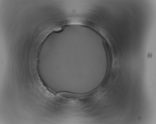 X0000115330385200911161814