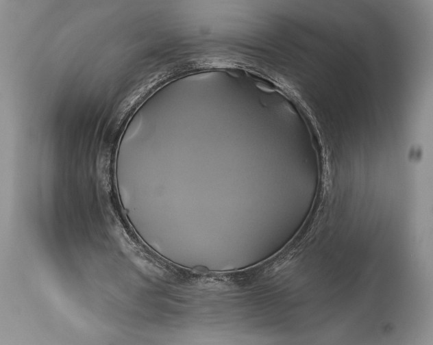 X0000115330386200911161814