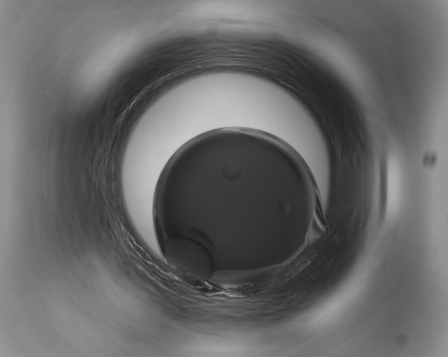 X0000115330387200911161814