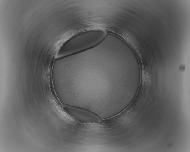 X0000115330389200911161814