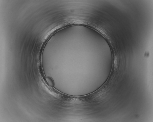 X0000115330390200911161814