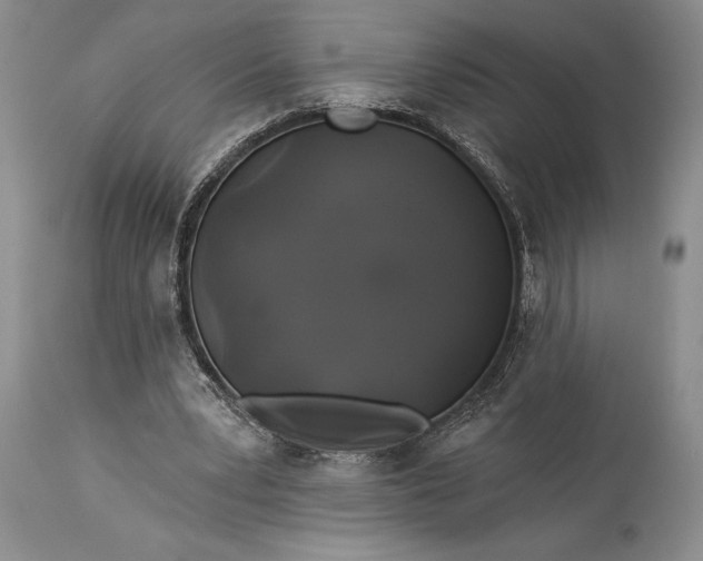 X0000115330391200911161814