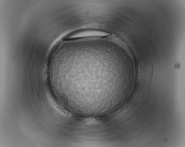 X0000115330392200911161814