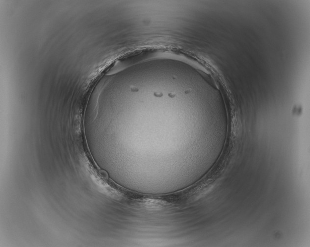 X0000115330393200911161814