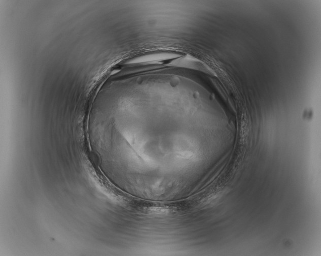 X0000115330394200911161814