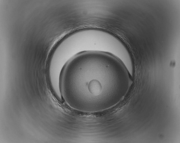 X0000115330395200911161814