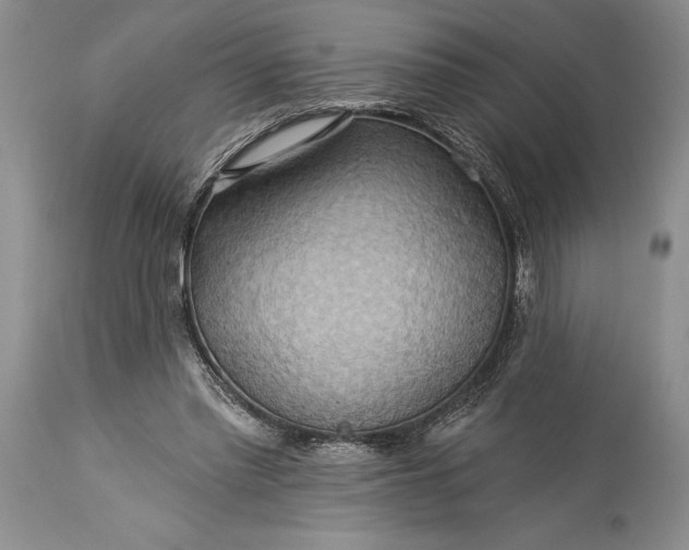 X0000115330397200911161814