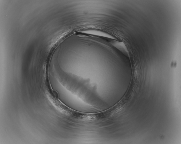 X0000115330398200911161814