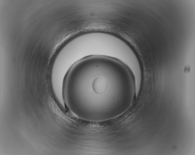 X0000115330399200911161814