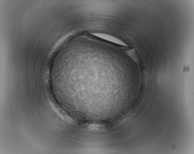 X0000115330400200911161814