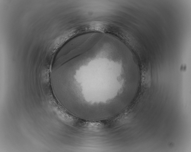 X0000115330401200911161814