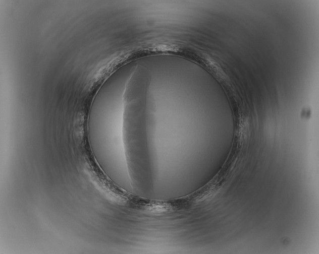 X0000115330402200911161814