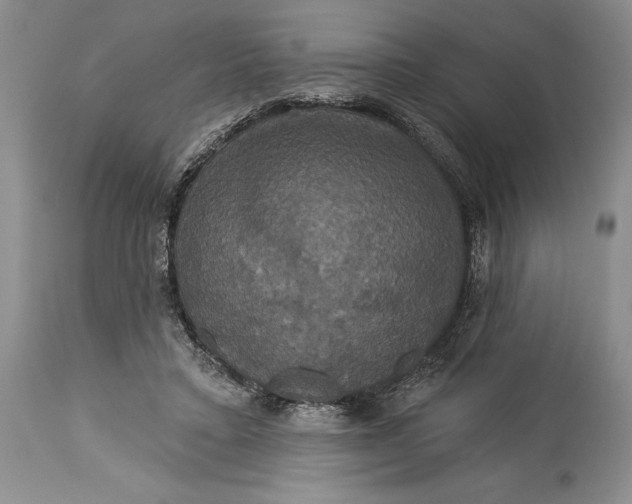 X0000115330403200911161814